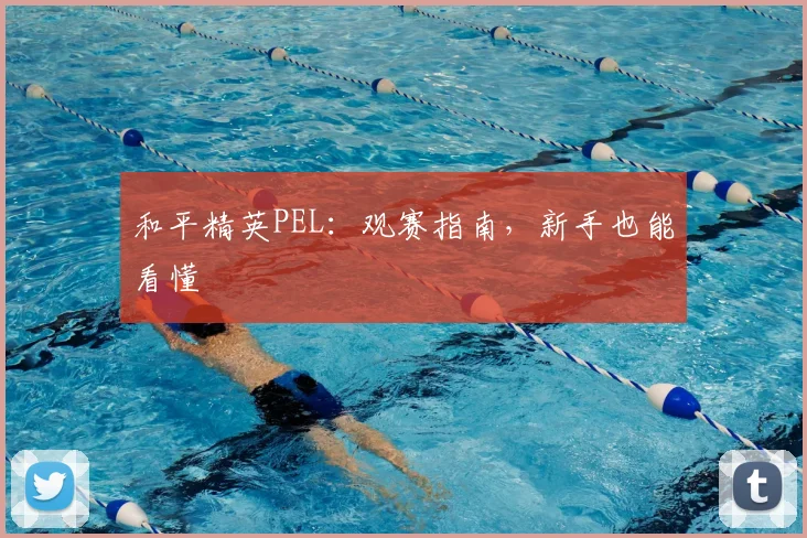 和平精英PEL:观赛指南,新手也能看懂