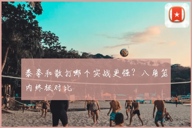 泰拳和散打哪个实战更强?八角笼内终极对比