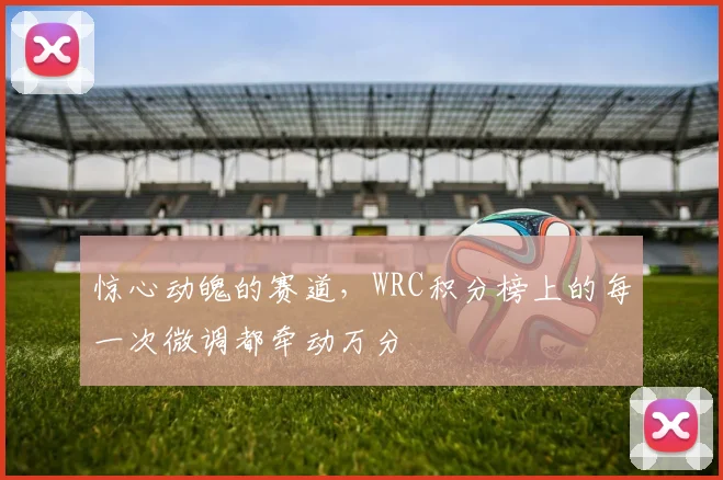 惊心动魄的赛道，WRC积分榜上的每一次微调都牵动万分