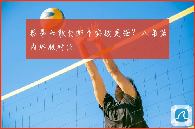 泰拳和散打哪个实战更强?八角笼内终极对比