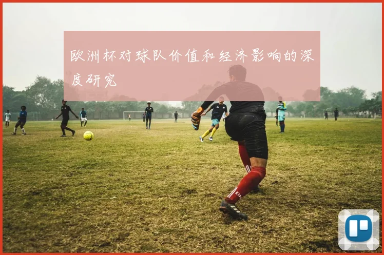 欧洲杯对球队价值和经济影响的深度研究