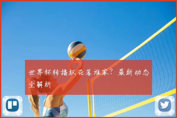 世界杯转播权花落谁家?最新动态全解析