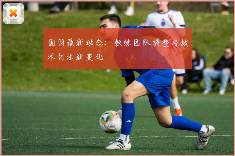 国羽最新动态:教练团队调整与战术打法新变化