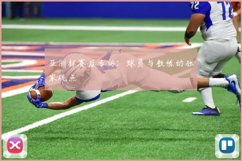 亚洲杯赛后专访:球员与教练的独家观点