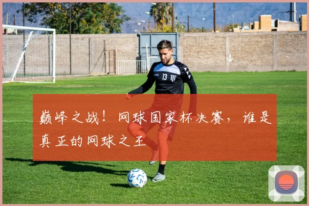 巅峰之战!网球国家杯决赛,谁是真正的网球之王