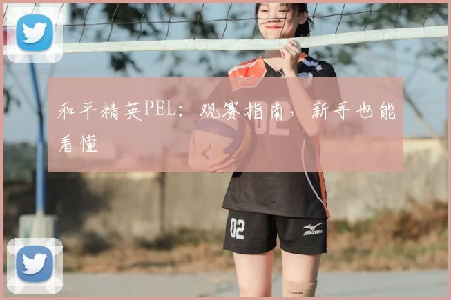 和平精英PEL:观赛指南,新手也能看懂