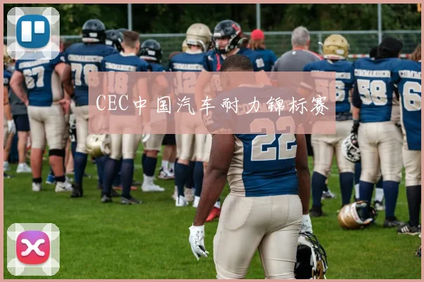 CEC中国汽车耐力锦标赛