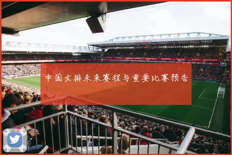 中国女排未来赛程与重要比赛预告