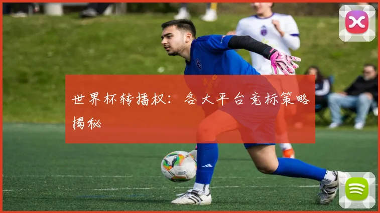 世界杯转播权:各大平台竞标策略揭秘