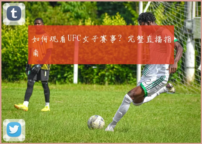 如何观看UFC女子赛事？完整直播指南