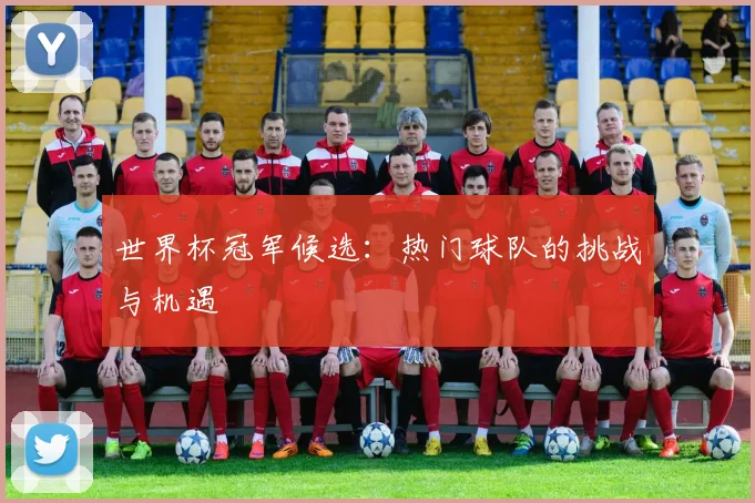 世界杯冠军候选:热门球队的挑战与机遇