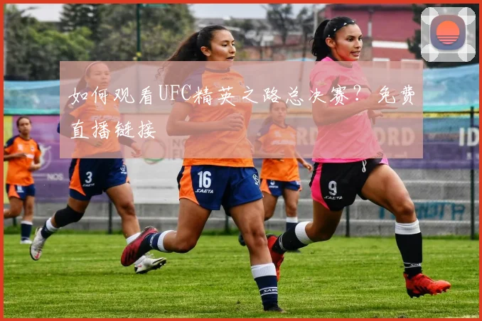 如何观看UFC精英之路总决赛？免费直播链接