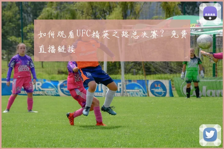 如何观看UFC精英之路总决赛？免费直播链接