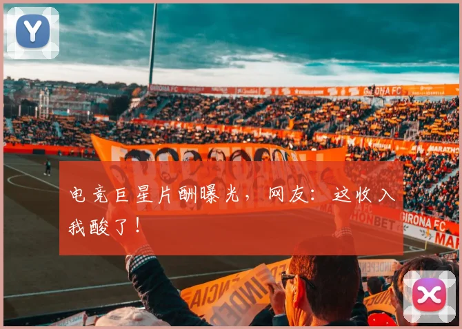 电竞巨星片酬曝光,网友:这收入我酸了!