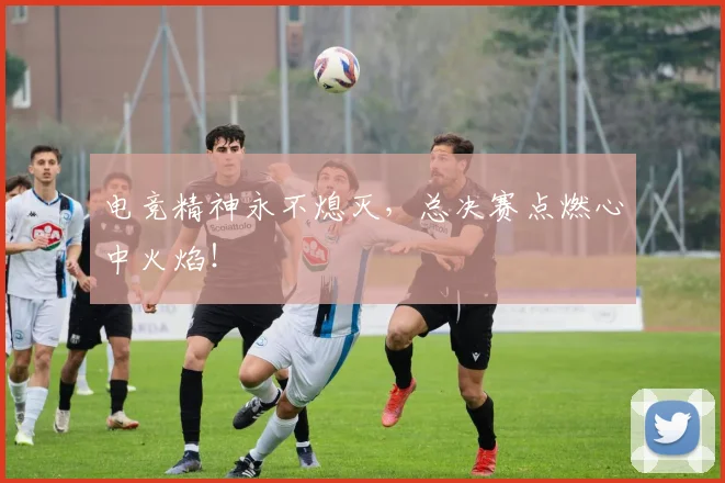 电竞精神永不熄灭，总决赛点燃心中火焰！