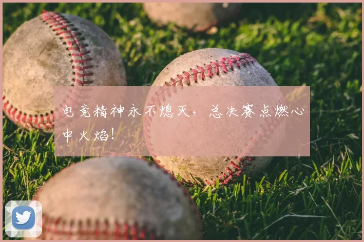 电竞精神永不熄灭，总决赛点燃心中火焰！