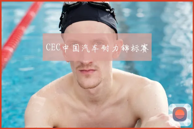 CEC中国汽车耐力锦标赛