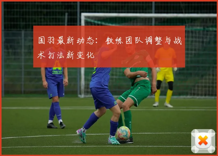 国羽最新动态:教练团队调整与战术打法新变化